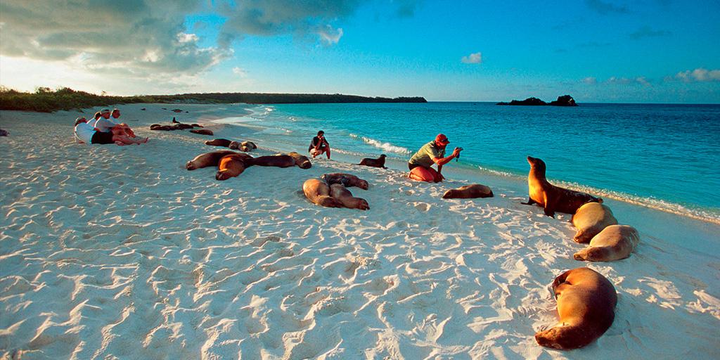 Galapagos Wildlife Expedition in Ecuador